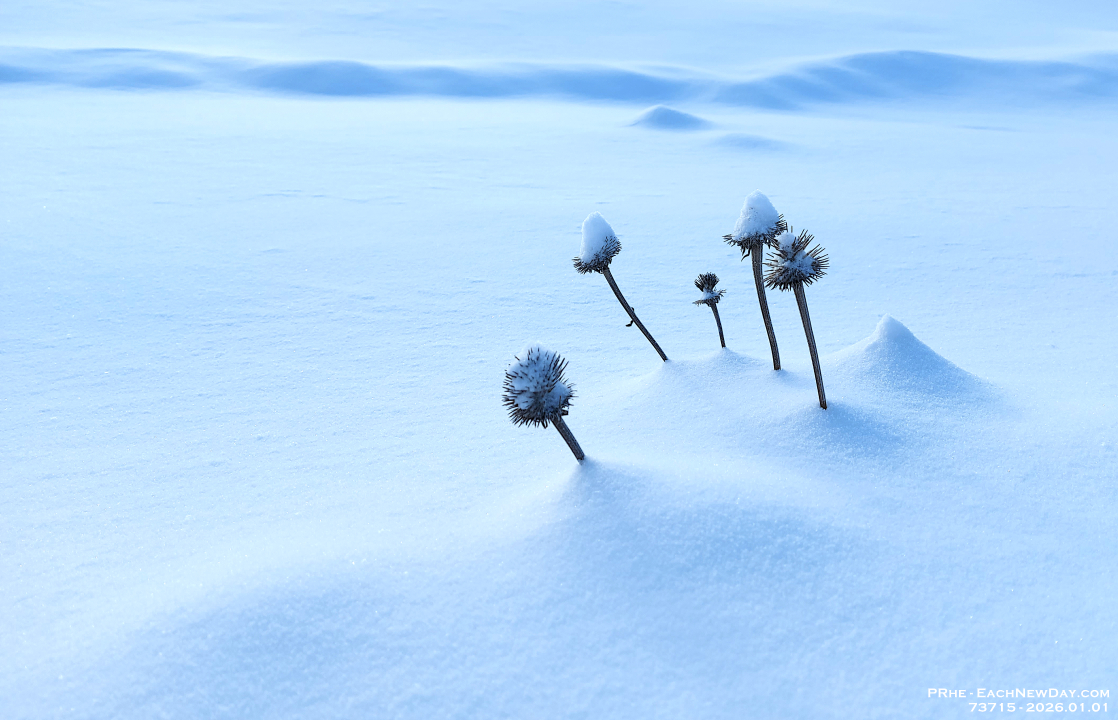 73715CrLe - Snow drifts in the garden in Clayt French Park